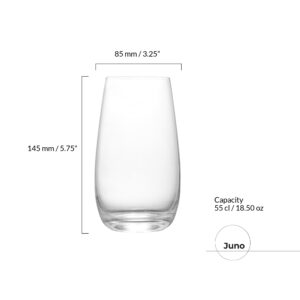 Set of 2 Juno Highball Tumblers
